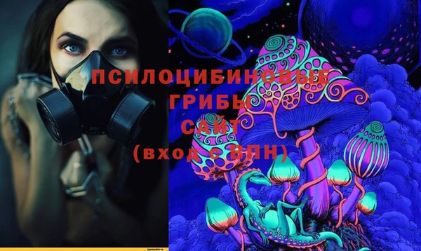 мяу мяу мука Аркадак