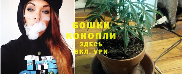 винт Баксан