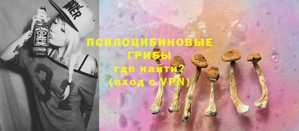 apvp Балахна